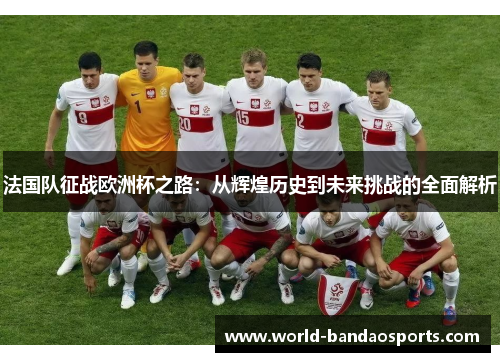 法国队征战欧洲杯之路：从辉煌历史到未来挑战的全面解析
