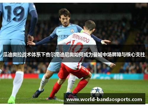 瓜迪奥拉战术体系下费尔南迪尼奥如何成为曼城中场屏障与核心支柱