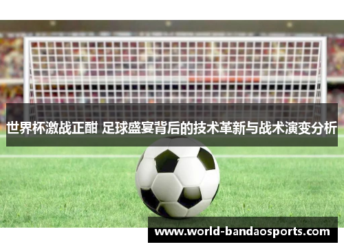 世界杯激战正酣 足球盛宴背后的技术革新与战术演变分析