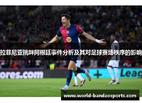 拉菲尼亚挑衅阿根廷事件分析及其对足球赛场秩序的影响