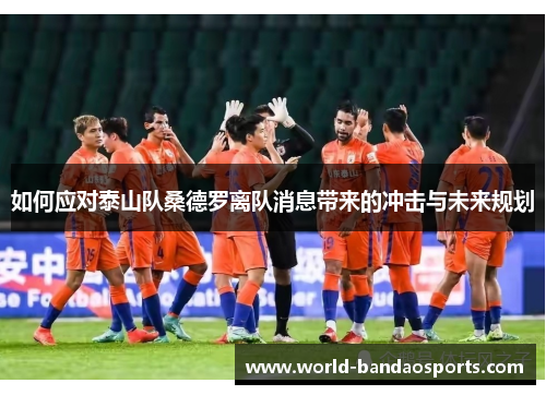 如何应对泰山队桑德罗离队消息带来的冲击与未来规划