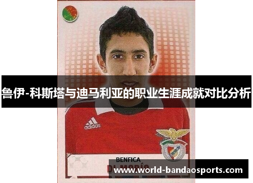 鲁伊-科斯塔与迪马利亚的职业生涯成就对比分析