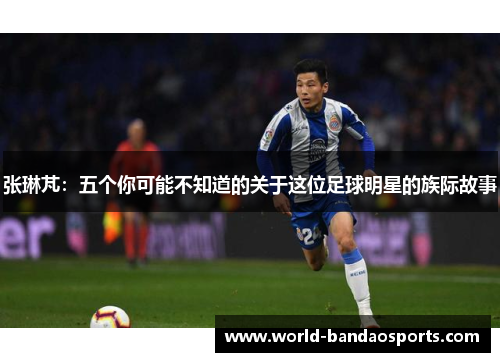 张琳芃：五个你可能不知道的关于这位足球明星的族际故事