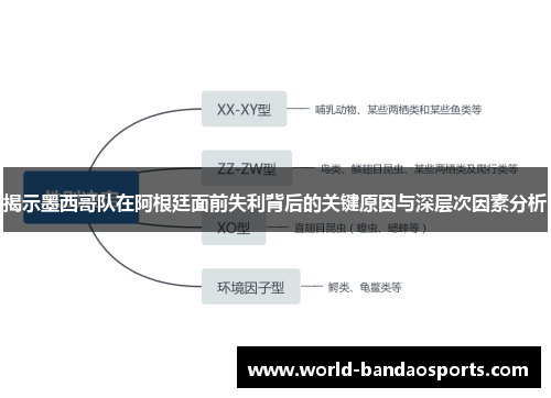 揭示墨西哥队在阿根廷面前失利背后的关键原因与深层次因素分析