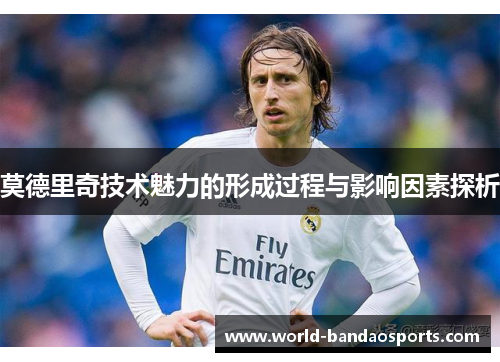 莫德里奇技术魅力的形成过程与影响因素探析
