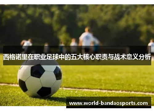 西格诺里在职业足球中的五大核心职责与战术意义分析